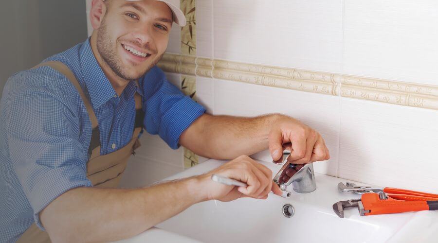 Professional Leak Detection Services services in Delavan, MN